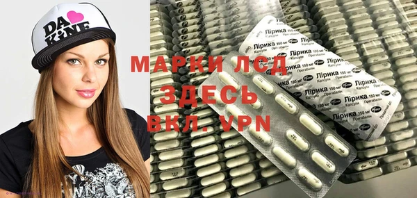 гидропоника Бородино