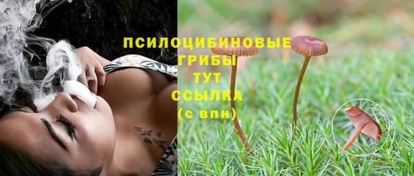 гидропоника Бородино