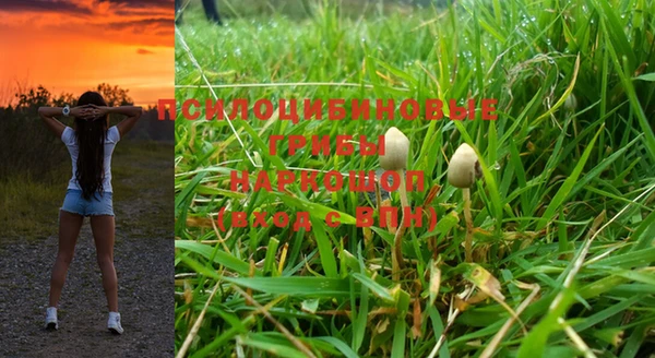 соль ск Бугульма